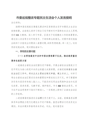 市委巡视整改专题民主生活会个人发言提纲.docx