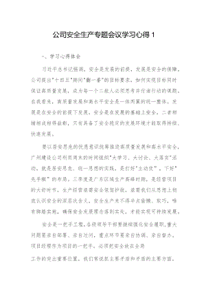 公司安全生产专题会议学习心得2篇.docx