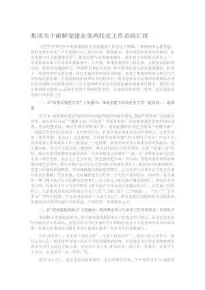 集团关于破解党建业务两张皮工作总结汇报.docx