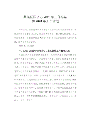 某某区国资办2023年工作总结和2024年工作计划.docx