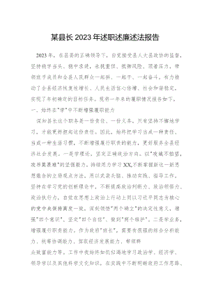 某县长2023年述职述廉述法报告.docx