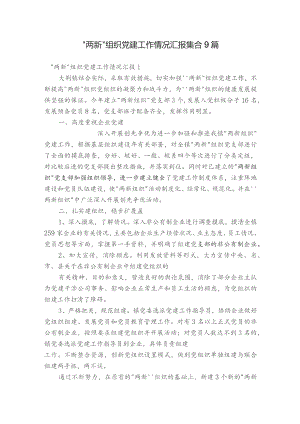 “两新”组织党建工作情况汇报集合9篇.docx