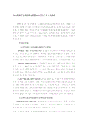 政法委书记巡视整改专题民主生活会个人发言提纲.docx