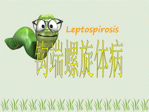 钩端螺旋体病小组作业.ppt