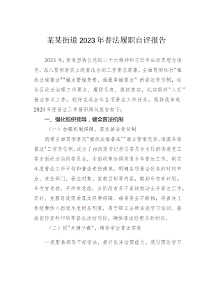 某某街道2023年普法履职自评报告.docx