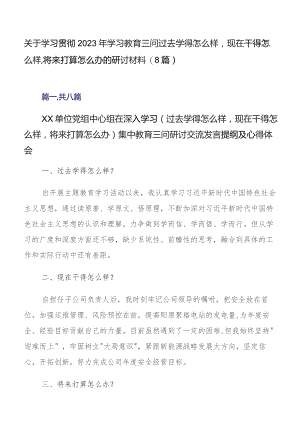 关于学习贯彻2023年学习教育三问过去学得怎么样现在干得怎么样,将来打算怎么办的研讨材料（8篇）.docx