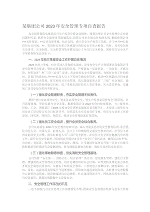 某集团公司2023年安全管理专项自查报告.docx