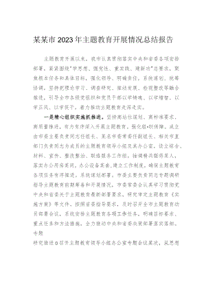 某某市2023年主题教育开展情况总结报告.docx