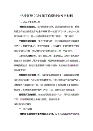 纪检系统2024年工作研讨会发言材料10.docx