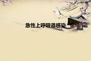 上呼吸道感染.ppt.ppt