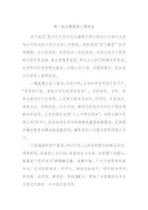 第二批主题教育心得体会.docx