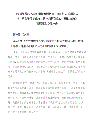 10篇汇编深入学习贯彻专题教育三问（过去学得怎么样现在干得怎么样将来打算怎么办）研讨交流发言提纲及心得体会.docx