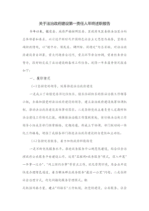 关于法治政府建设第一责任人年终述职报告.docx