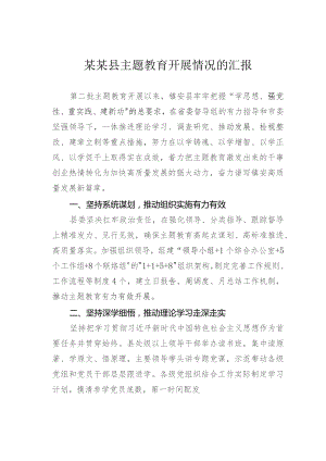 某某县主题教育开展情况的汇报.docx