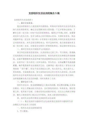 支部组织生活会流程集合5篇.docx