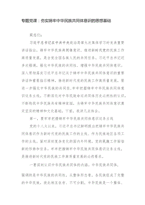 专题党课：夯实铸牢中华民族共同体意识的思想基础.docx