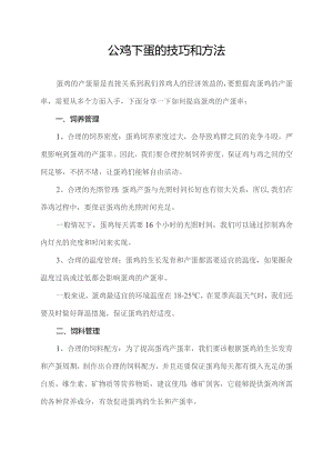 公鸡下蛋的技巧和方法.docx