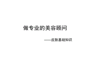 皮肤基础知识.ppt