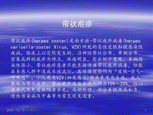 带状疱疹.ppt