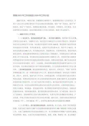 某镇2023年工作总结及2024年工作计划.docx