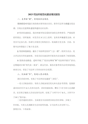 2023司法所规范化建设情况报告.docx