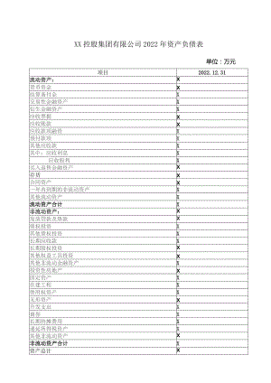 XX控股集团有限公司2022年资产负债表.docx