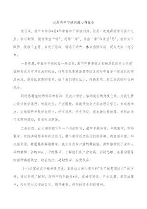 赴深圳学习培训班心得体会.docx