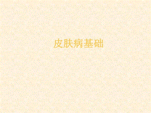 皮肤病的症状.ppt