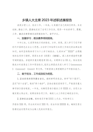 乡镇人大主席2023年述职述廉报告.docx