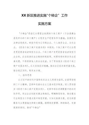 XX新区推进实施“个转企”工作实施方案.docx