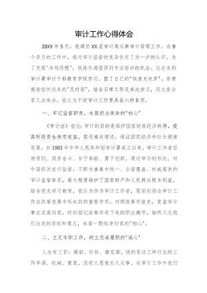审计工作心得体会.docx
