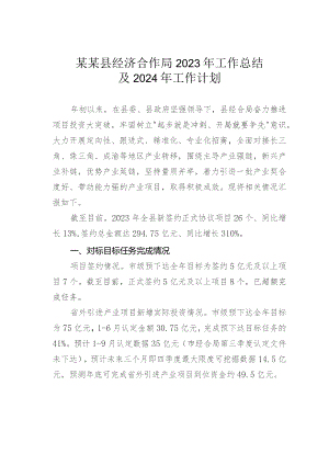 某某县经济合作局2023年工作总结及2024年工作计划.docx