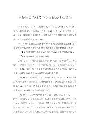 市统计局党组关于巡察整改情况报告.docx
