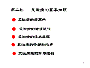 艾滋病的基础知识.ppt
