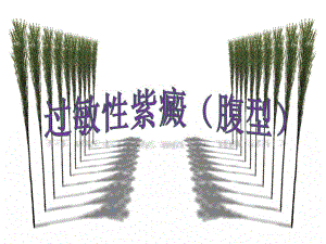 过敏性紫癜.ppt.ppt