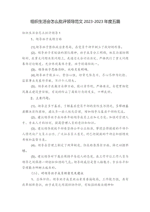 组织生活会怎么批评领导范文2023-2023年度五篇.docx