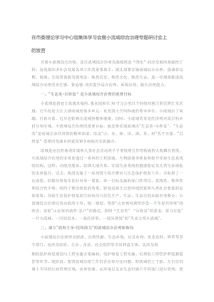 在市委理论学习中心组集体学习会暨小流域综合治理专题研讨会上的发言.docx