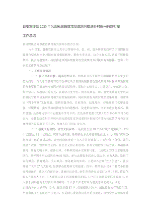 县委宣传部2023年巩固拓展脱贫攻坚成果同推进乡村振兴有效衔接工作总结.docx