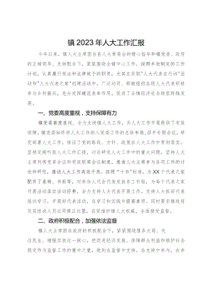 镇2023年人大工作汇报.docx