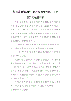 某区政府党组班子巡视整改专题民主生活会对照检查材料.docx