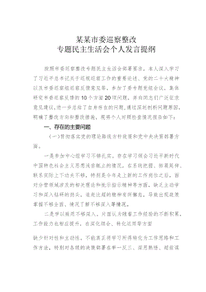 某某市委巡察整改专题民主生活会个人发言提纲.docx