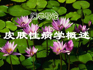医学导论(皮肤).ppt