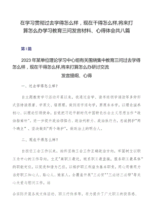 在学习贯彻过去学得怎么样现在干得怎么样,将来打算怎么办学习教育三问发言材料、心得体会共八篇.docx