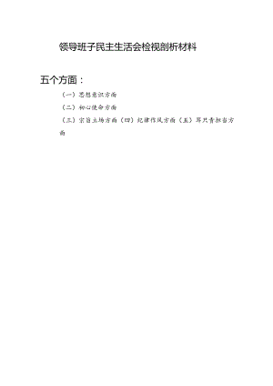 领导班子对照思想意识、初心使命、宗旨立场、纪律作风、职责担当五个方面2023年度民主生活会检视剖析材料.docx