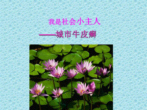 我是社会小主人城市牛皮癣调查.ppt