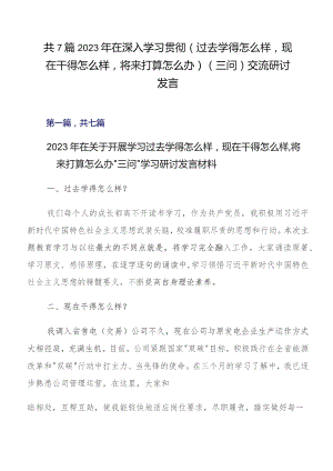 共7篇2023年在深入学习贯彻（过去学得怎么样现在干得怎么样将来打算怎么办）（三问）交流研讨发言.docx