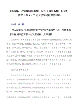 2023年（过去学得怎么样现在干得怎么样将来打算怎么办）（三问）学习研讨发言材料.docx