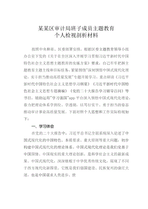 某某区审计局班子成员主题教育个人检视剖析材料.docx