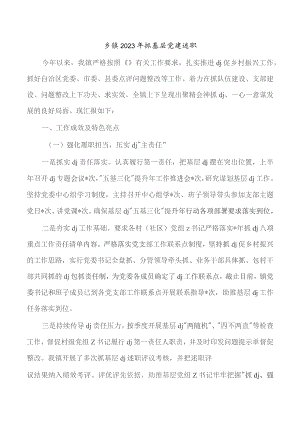 乡镇2023年抓基层党建述职.docx