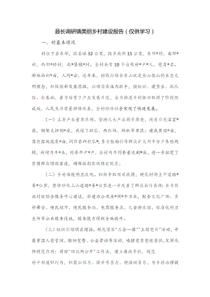 县长调研镇美丽乡村建设报告.docx